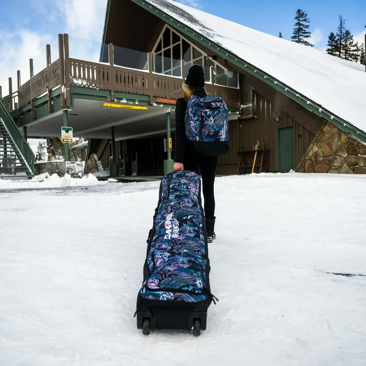 Sacche Snowboard