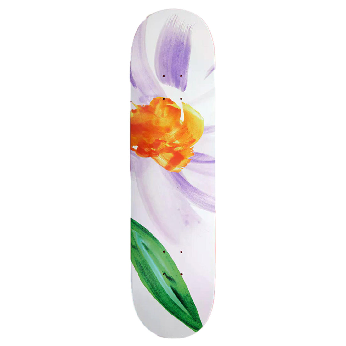 Skateboard Cafe Floral Deck  8.25"