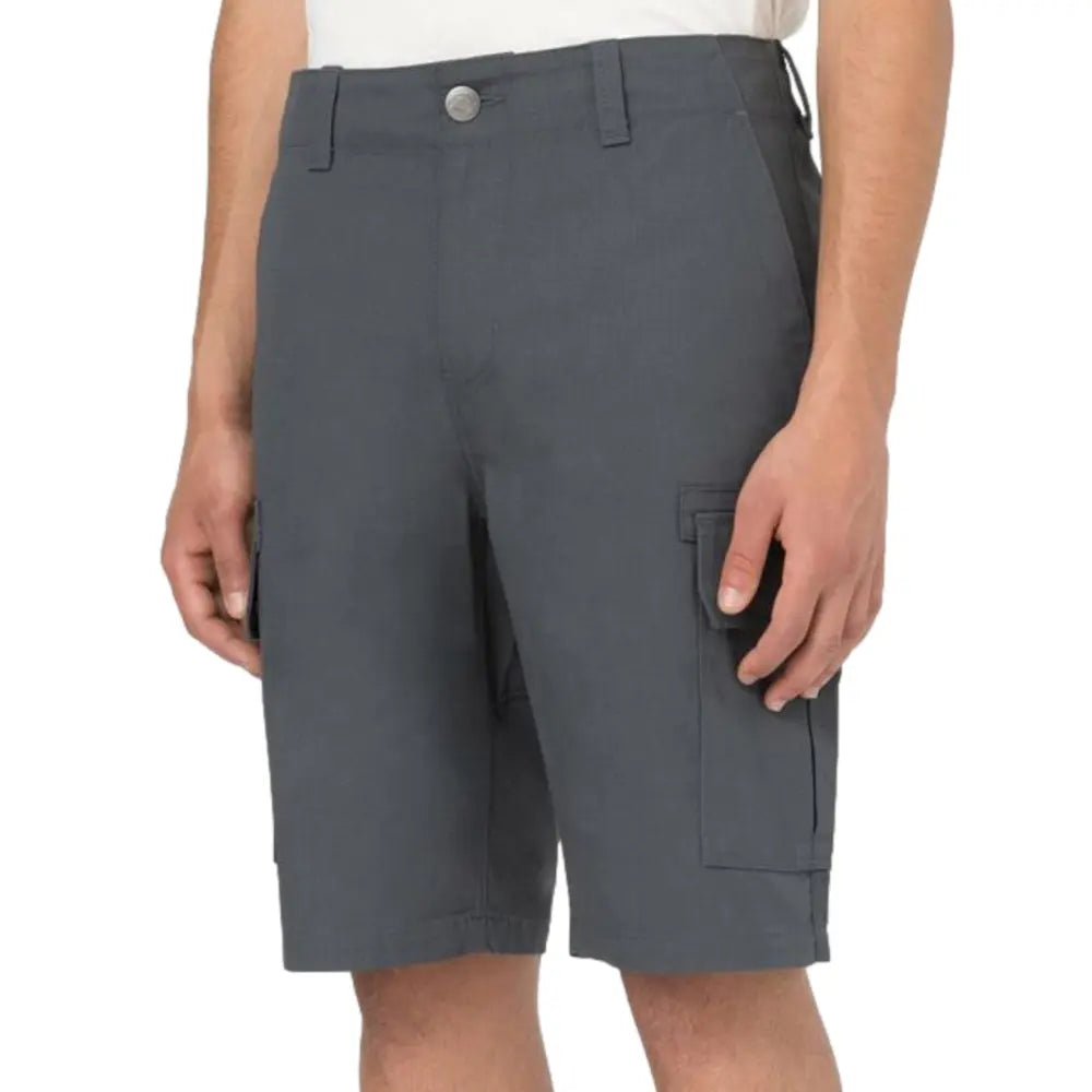 millerville antracite dickies short