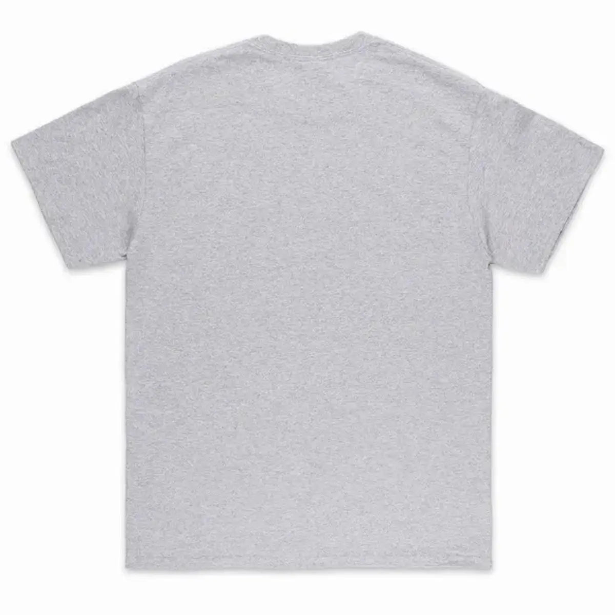 Thrasher t-shirt skate goat grey