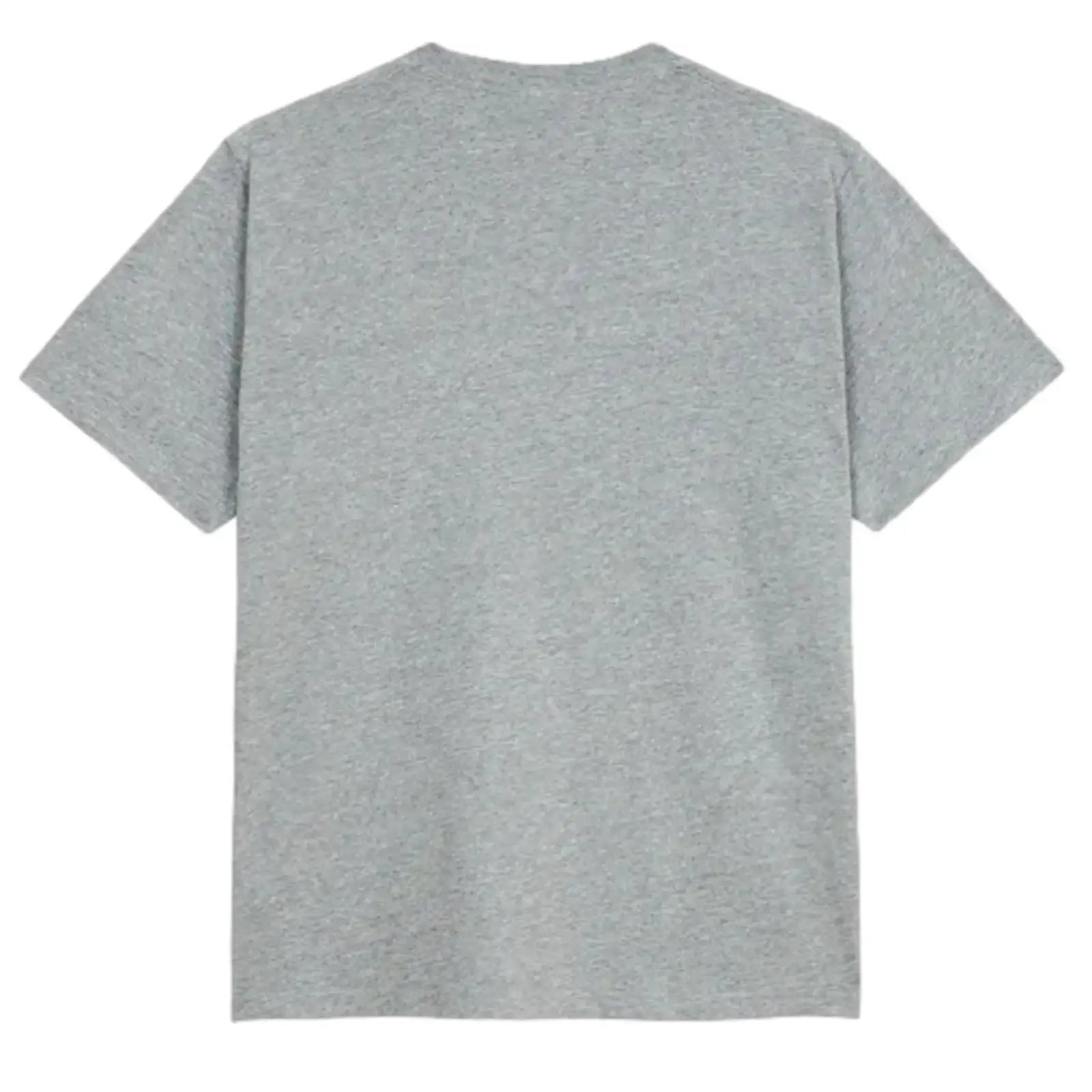 POLAR STEVE TEE HEATHER GREY