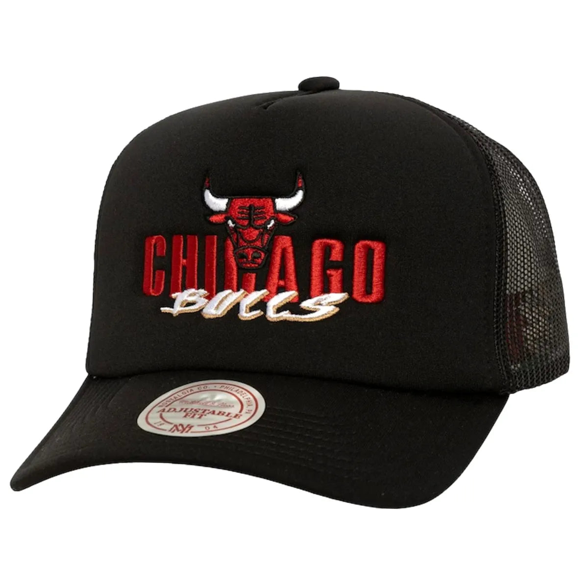 Snapback trucker NBA chicago bulls