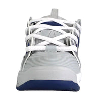 Osiris D3 2001 grey navy white