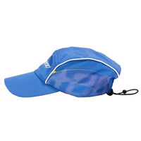 wasted paris blede cap arena blue snapback