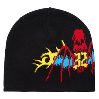 ThirtyTwo Skull Cap