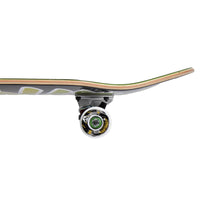 Pleasures skateboards Rasta Classic Logo pro completo