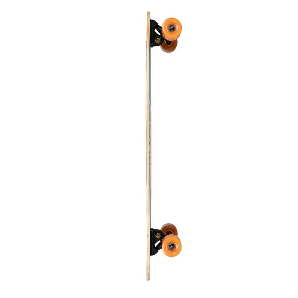 Arbor Artist Fish Pintail 37“ Longboard