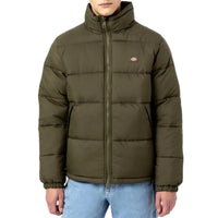 dickies piumino waldenburg