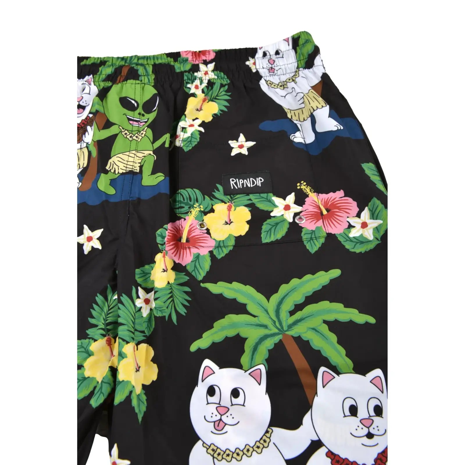 Ripndip Costume Aloha Nerm Swim Short