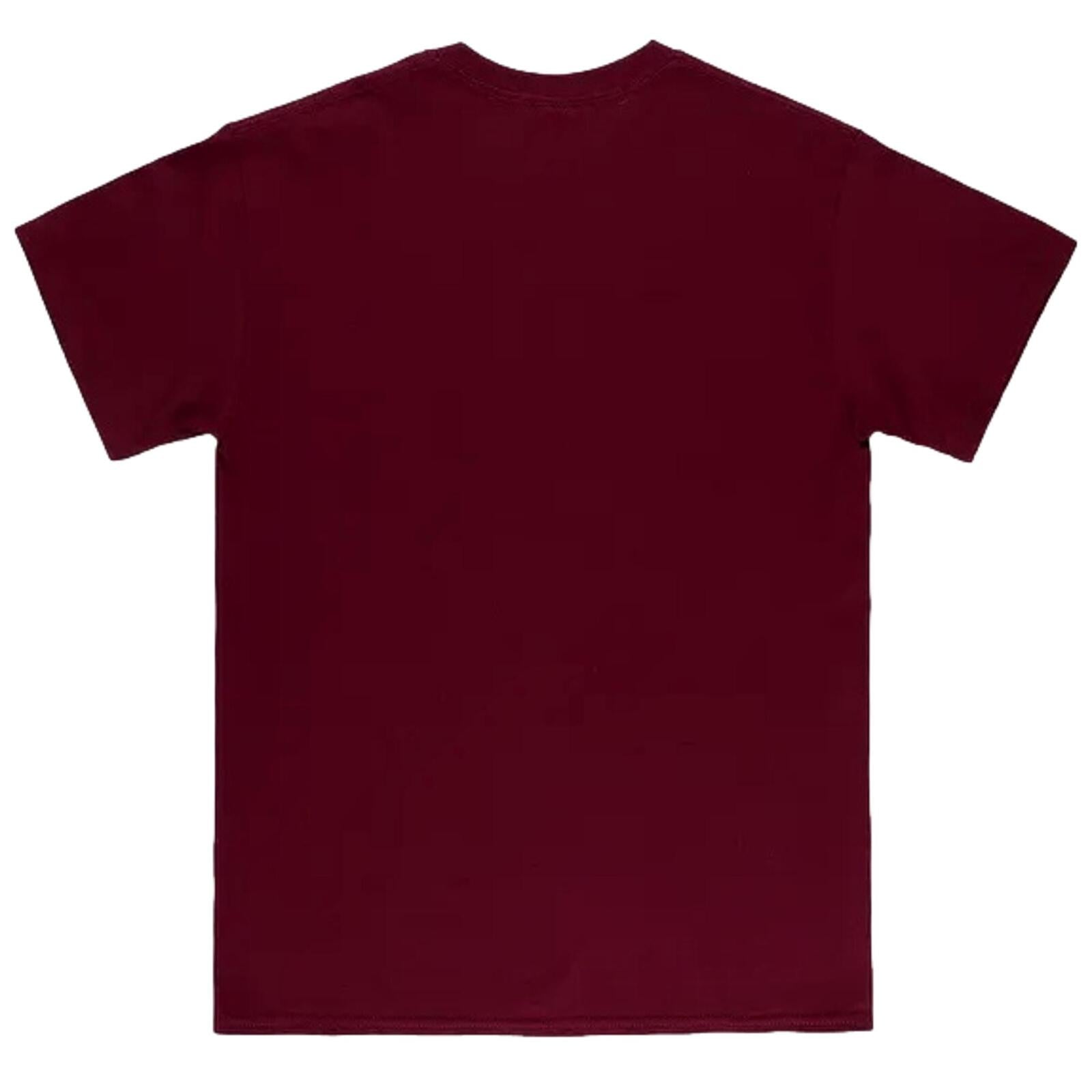 maglietta thrasher uomo marron