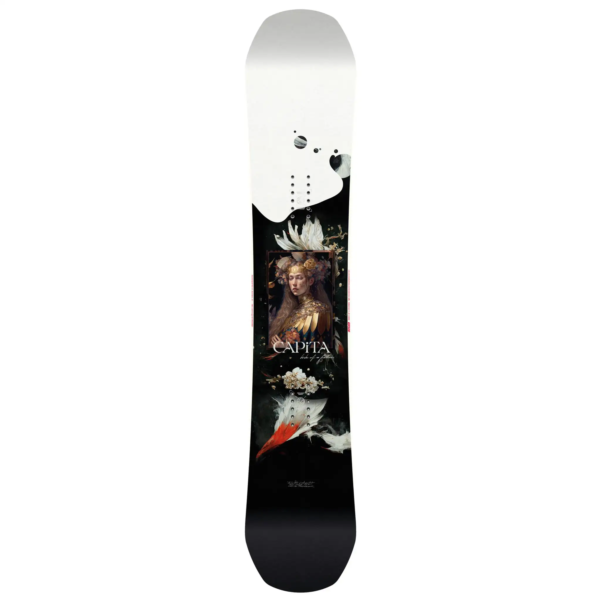 Birds of a feather 148 Capita snowboard